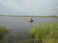 Выпуск водных биоресурсов в Каспийское море