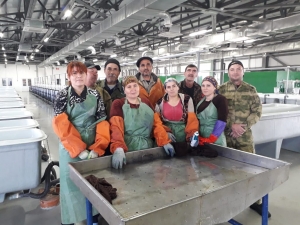 Специалисты Терско-Каспийского филиала выпустили свыше 151млн мальков ценных пород рыбы