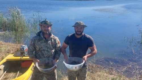Более 1,27 млн мальков сазана пополнили бассейн Каспийского моря