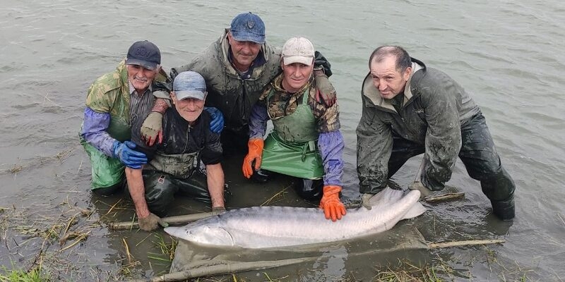 Терско-Каспийский филиал ФГБУ «Главрыбвод» завершил осенний бонитировочный учет